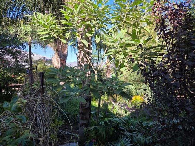 3 Bedroom House in Tulbagh