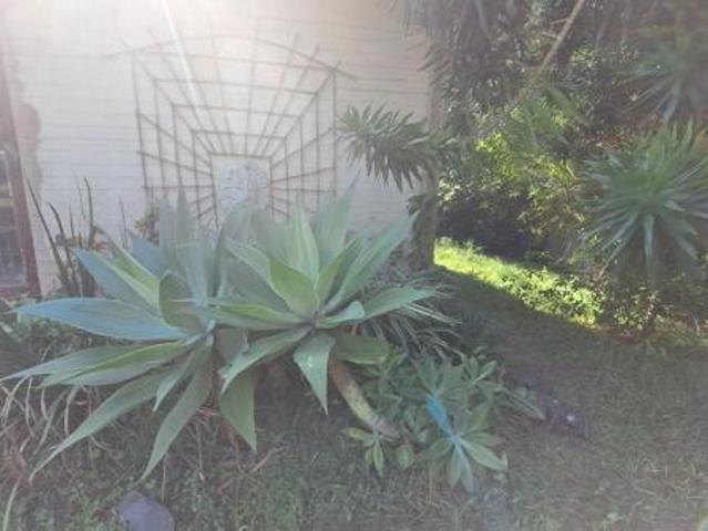 3 Bedroom House in Umtentweni