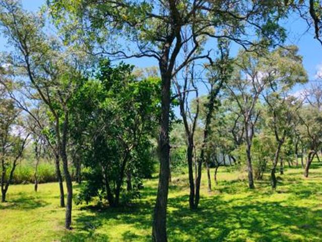 3 Bedroom House in Vaalwater