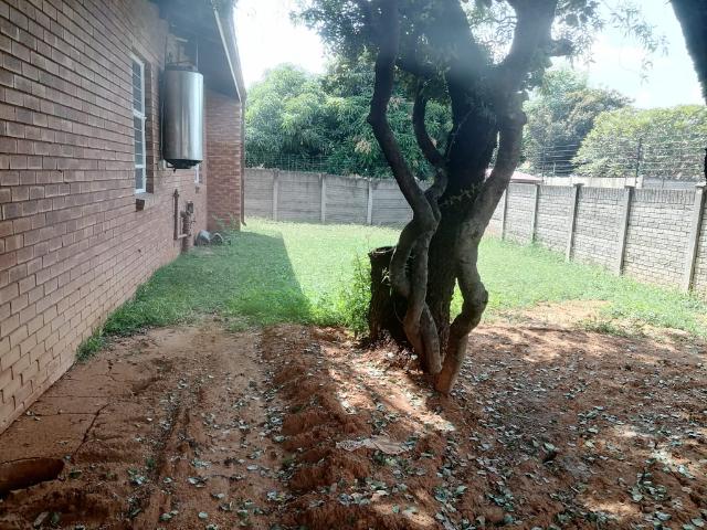3 Bedroom House To Let in Geelhoutpark