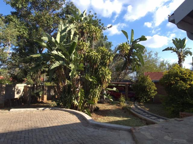 3 Bedroom House To Let in Hoedspruit
