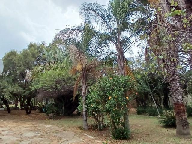 3 Bedroom House To Rent in Bultfontein AH