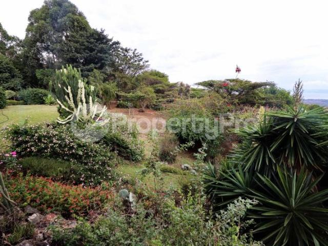 3 bedroom Houses for sale Great Rift Valley Lodge, Greenpark, Naivasha East Nakuru PID: 9AXDB | PropertyPro