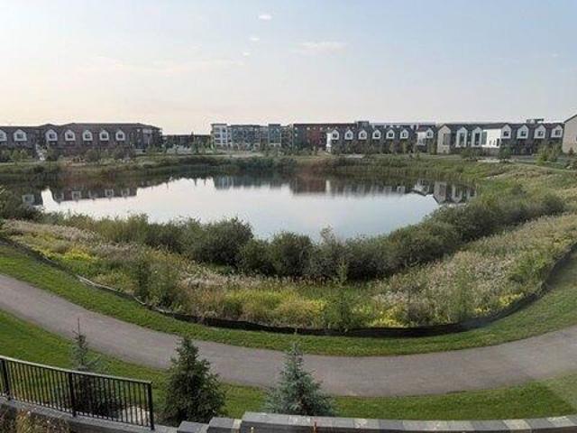 3 Bedroom Home for Rent at 20295 20295 Seton Way Se, Calgary, AB T3M 3X3