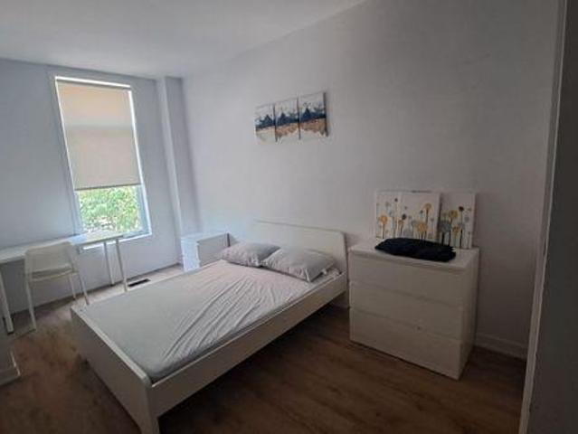 3 Bedroom Shared Living/roommate Oshawa ON 97419188