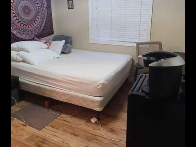 3 Bedroom Shared Living/roommate Cambridge ON 96647725