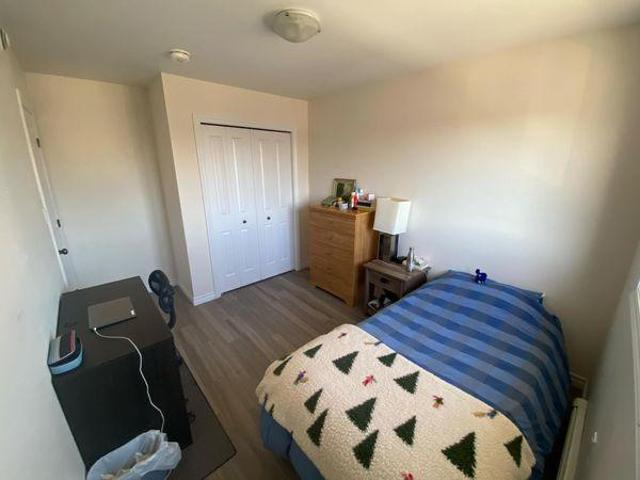 3 Bedroom Shared Living/roommate Kingston ON LS97418538