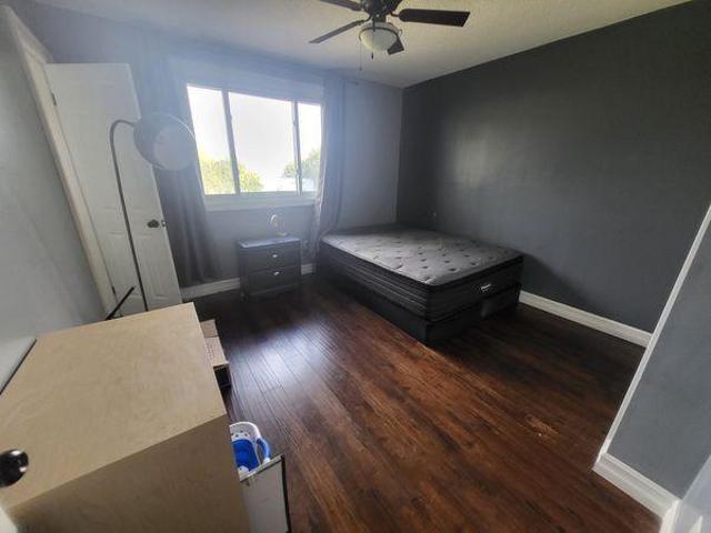 3 Bedroom Shared Living/roommate Kingston ON 97414361