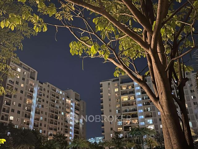 3 BHK Villa In Adarsh Palm Retreat for Rent In Bellandur