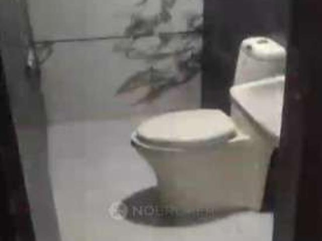 3 BHK Flat In Elite Apartment for Rent In Sector 73