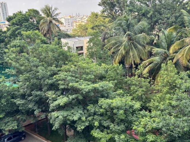 3 BHK Apartment in C V Raman Nagar for resale Bengaluru. The reference number is 20706883
