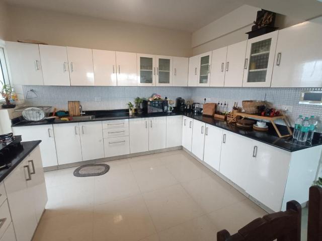 3 BHK Apartment in Chokkanahalli for rent Bengaluru. The reference number is 20597232