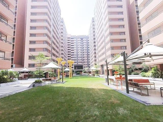 3 BHK Apartment in Adalaj for rent Gandhinagar. The reference number is 16886484
