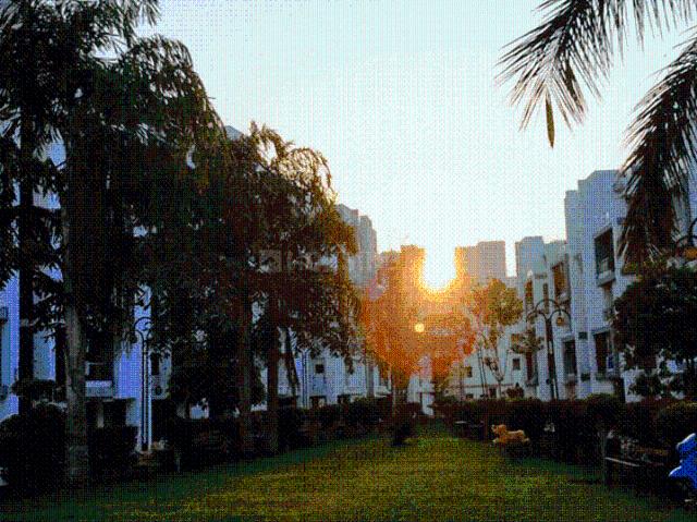 3 BHK Apartment in Atladara for rent Vadodara. The reference number is 19847003