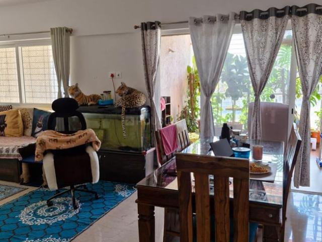 3 BHK Apartment in Bavdhan for resale Pune. The reference number is 19288077