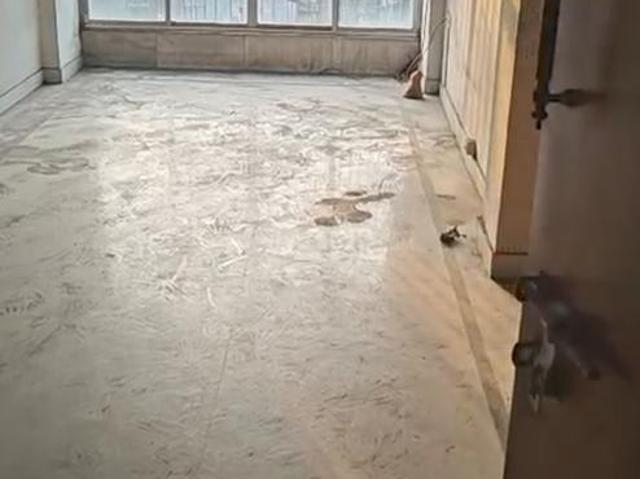 3 BHK Apartment in Baghajatin for resale Kolkata. The reference number is 20304984