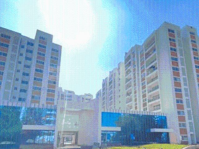 3 BHK Apartment in Bidare Agraha for rent Bengaluru. The reference number is 20760579