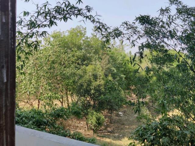 3 BHK Apartment in Govindpuram for resale Ghaziabad. The reference number is 20206042
