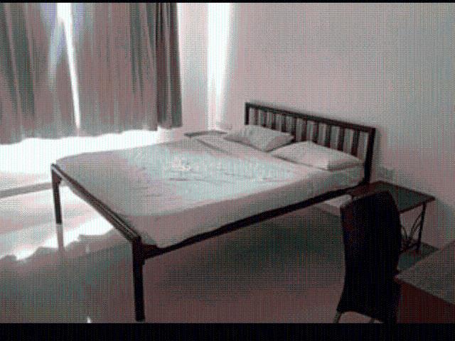 3 BHK Apartment in Gokhalenagar for rent Pune. The reference number is 20362777