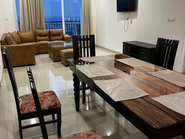 3 BHK Apartment in Gomti Nagar for rent Lucknow. The reference number is 19606243
