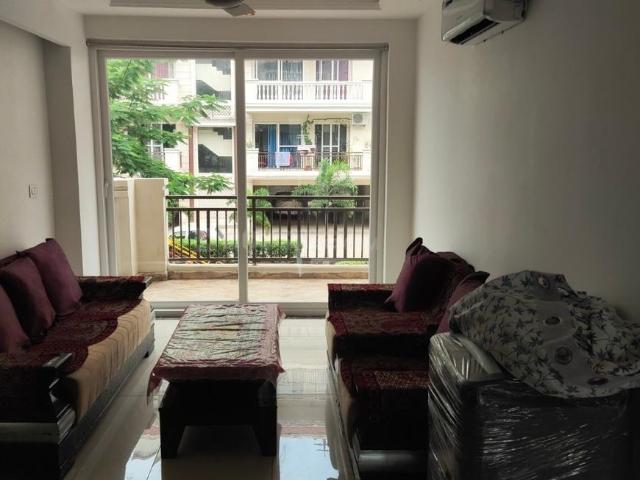 3 BHK Apartment in Gazipur for rent Zirakpur. The reference number is 20804816