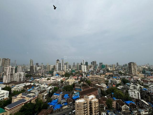 3 BHK Apartment in Gamdevi for resale Mumbai. The reference number is 19771919