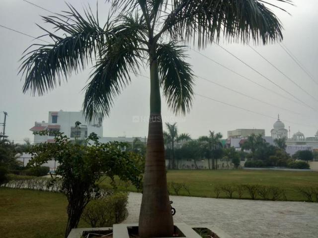 3 BHK Apartment in Green Park Colony for rent Bareilly. The reference number is 20821969