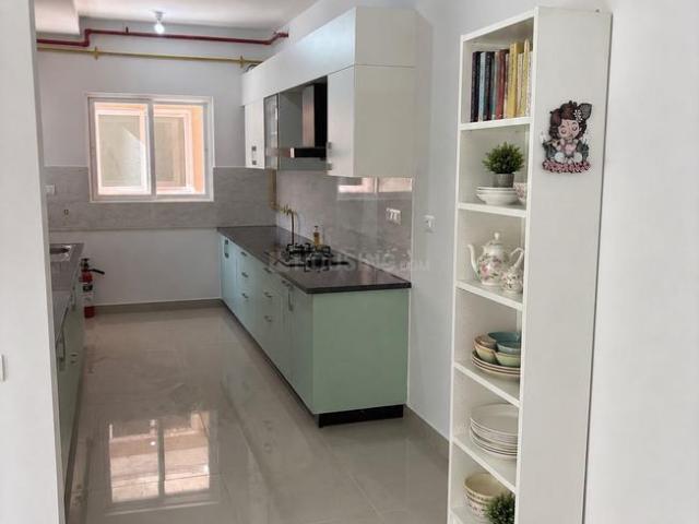 3 BHK Apartment in Gummanahalli for rent Bengaluru. The reference number is 20281938