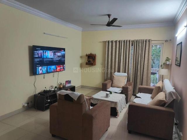 3 BHK Apartment in Doddakannelli for rent Bengaluru. The reference number is 20008473