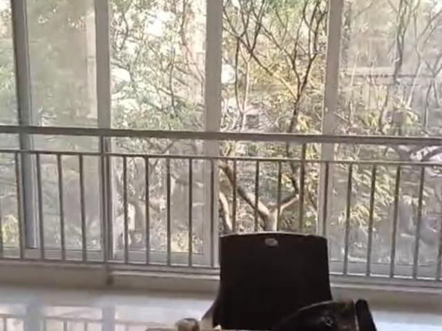 3 BHK Apartment in Dadar East for resale Mumbai. The reference number is 19056741