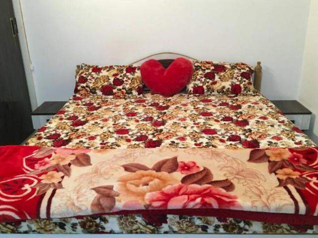 3 BHK Apartment in Danapur for rent Patna. The reference number is 13014067