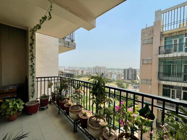3 BHK Apartment in Dhakoli for rent Zirakpur. The reference number is 20427698