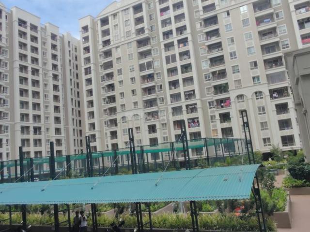 3 BHK Apartment in Dhanori for resale Pune. The reference number is 20589990