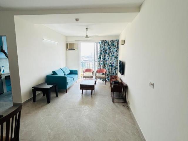 3 BHK Apartment in DLF Phase 2 for rent Gurgaon. The reference number is 18966307