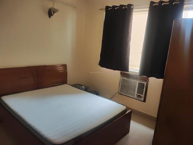 3 BHK Apartment in DLF Phase 2 for rent Gurgaon. The reference number is 20083381