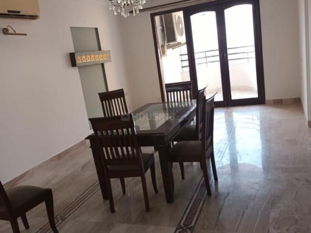 3 BHK Apartment in DLF Phase 3 for rent Gurgaon. The reference number is 20164006