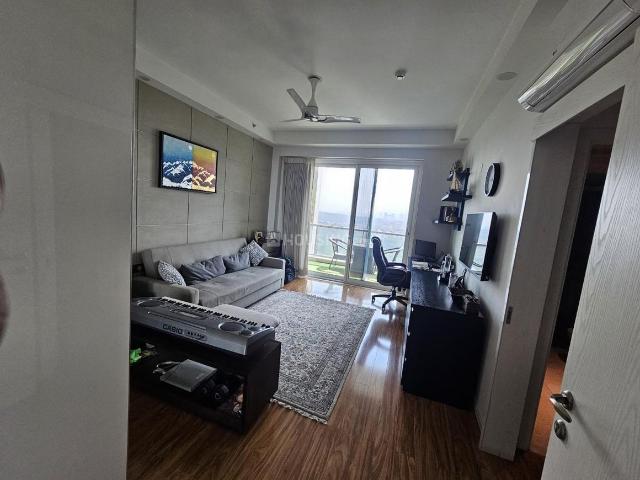 3 BHK Apartment in DLF Phase 5 for rent Gurgaon. The reference number is 19971449