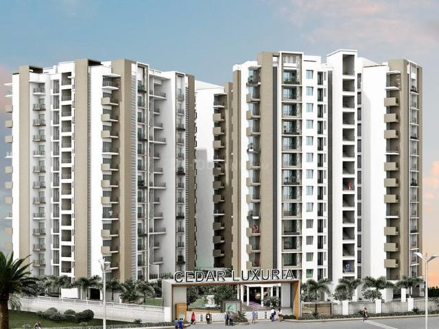 3 BHK Apartment in Kankha Ki Dhani for rent Jaipur. The reference number is 20765031