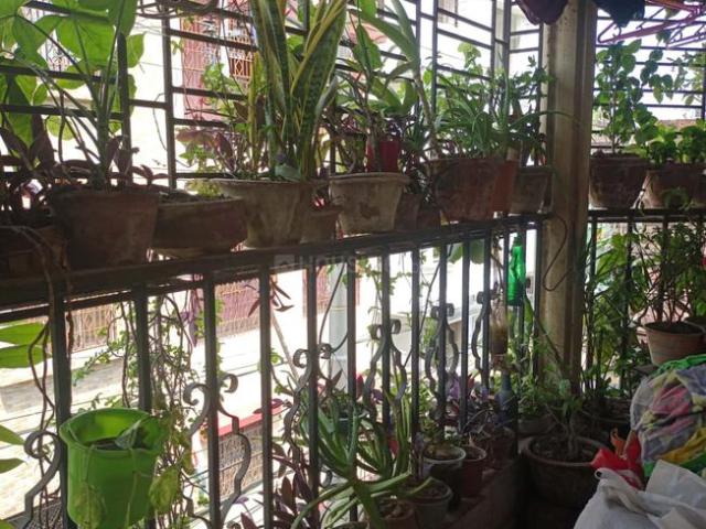 3 BHK Apartment in Kasba for resale Kolkata. The reference number is 19938065