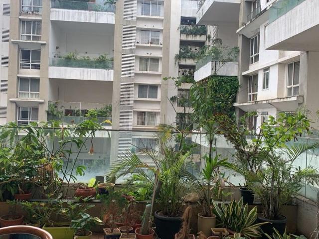 3 BHK Apartment in Kharadi for resale Pune. The reference number is 20050306