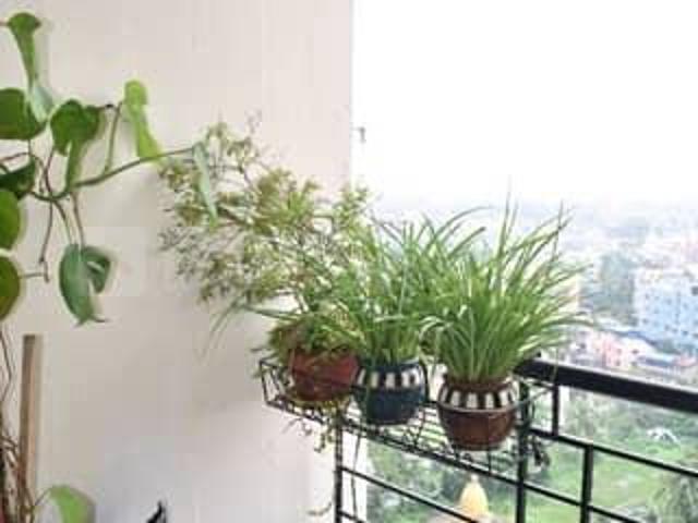 3 BHK Apartment in Khardaha for resale Kolkata. The reference number is 20738515
