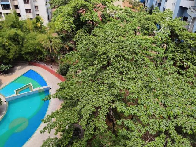 3 BHK Apartment in Hadapsar for rent Pune. The reference number is 20185021