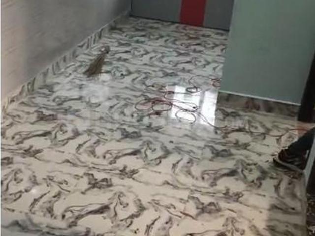 3 BHK Apartment in Indira Nagar for rent Lucknow. The reference number is 17362478
