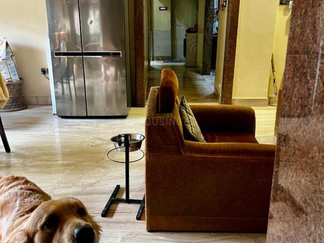 3 BHK Apartment in Jodhpur Park for resale Kolkata. The reference number is 16663410