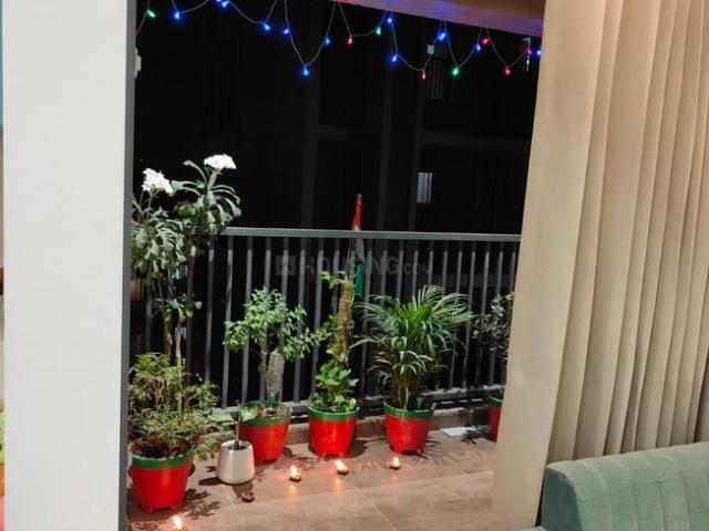 3 BHK Apartment in Jagatpur for resale Ahmedabad. The reference number is 20794562