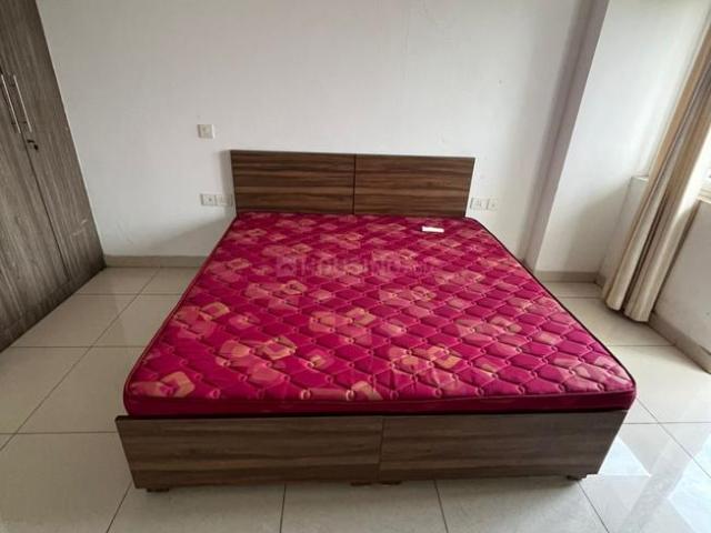 3 BHK Apartment in Omega II for rent Greater Noida. The reference number is 20327692