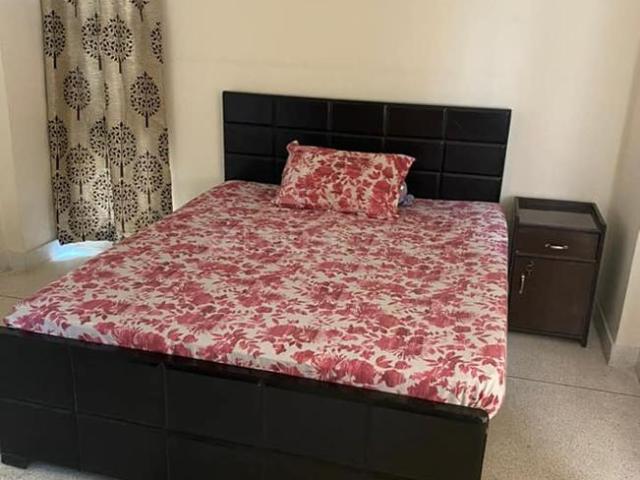3 BHK Apartment in Mayur Vihar Phase 1 for rent New Delhi. The reference number is 13790909