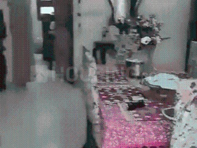 3 BHK Apartment in Munirka for resale New Delhi. The reference number is 19379477