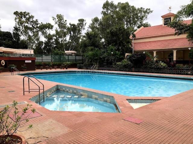 3 BHK Apartment in Murugeshpalya for rent Bengaluru. The reference number is 19997833