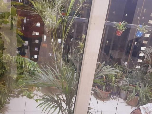 3 BHK Apartment in Noida Extension for rent Greater Noida. The reference number is 12017748